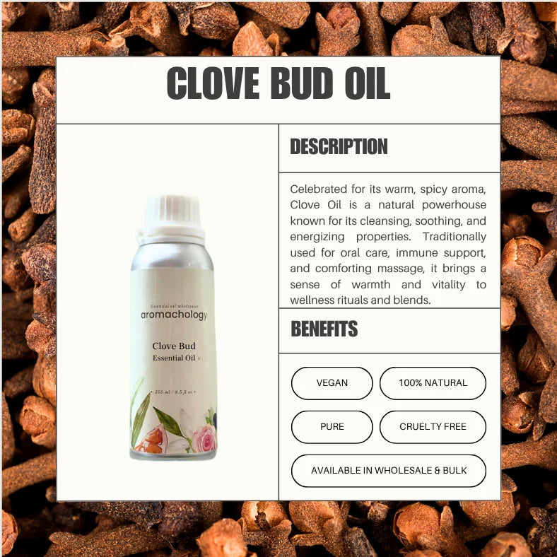 clove essential oil uses