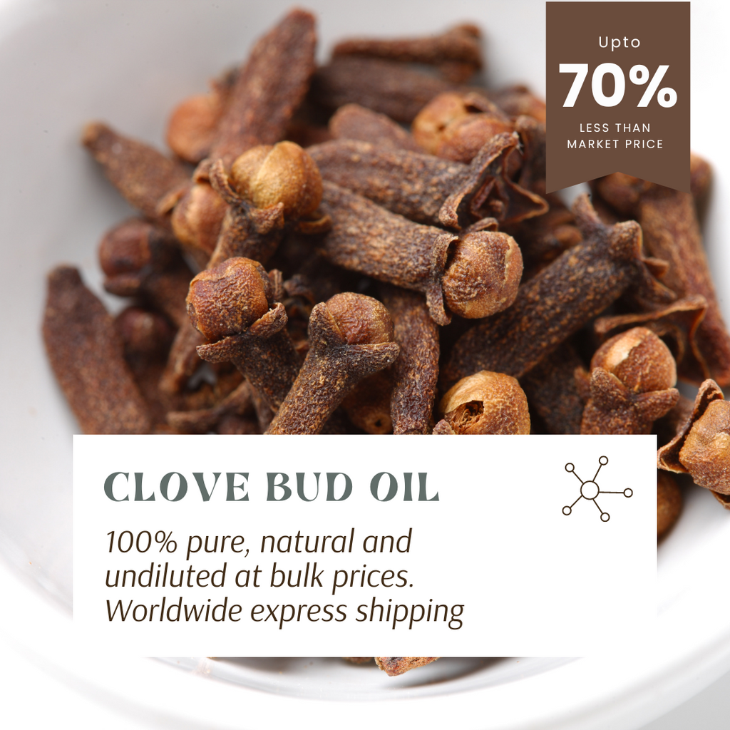 pure clove bud oil wholesaler and manufacturer. Clove bud essential oil for resale