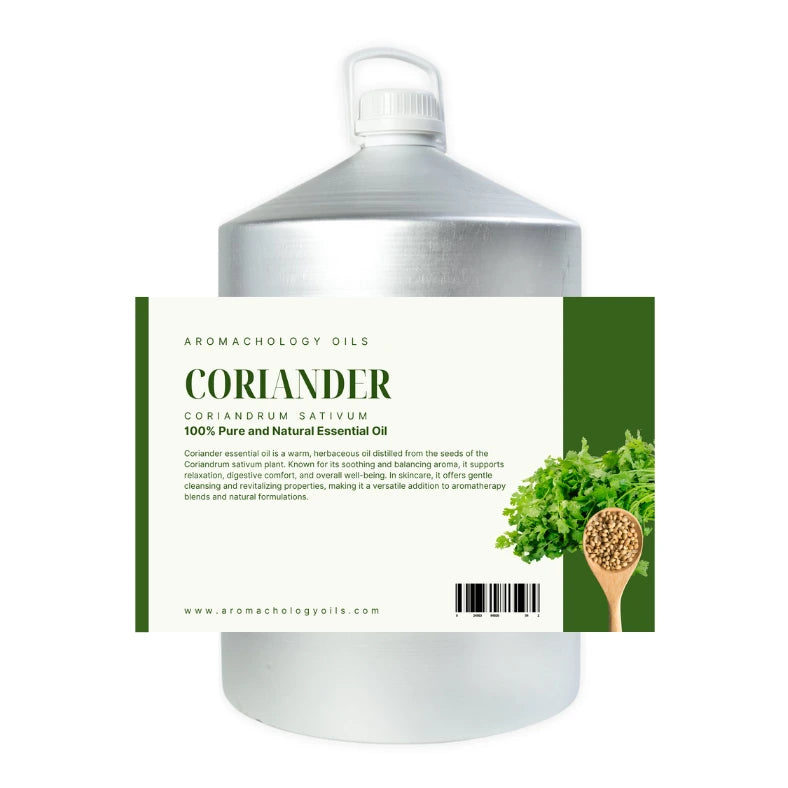 coriander essential oil in bulk and wholesale
