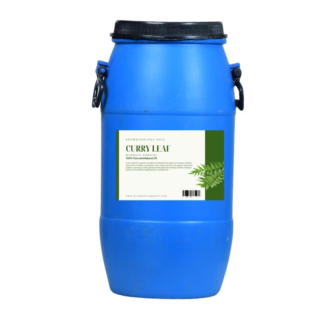 bulk curry leaf oil wholesale