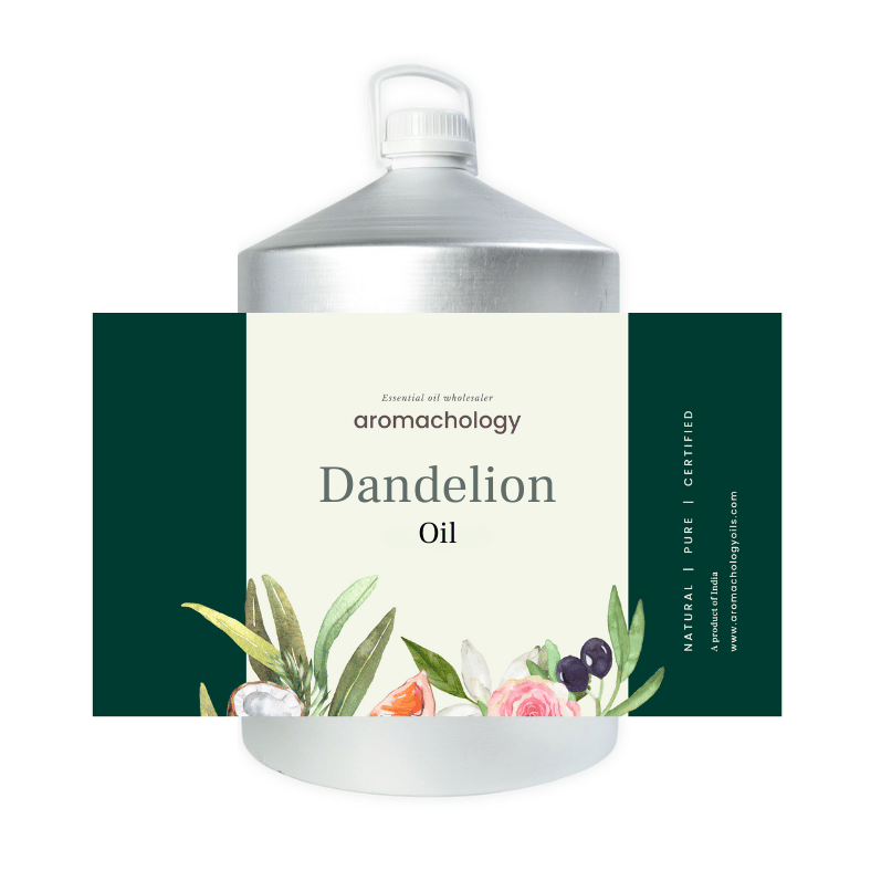 Wholesale Dandelion Oil