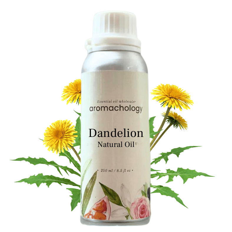 Natural Dandelion Oil