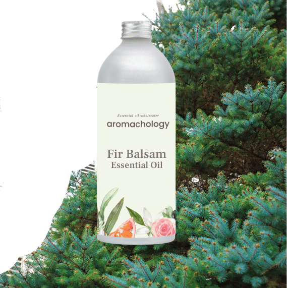 fir balsam essential oil in wholesale USA