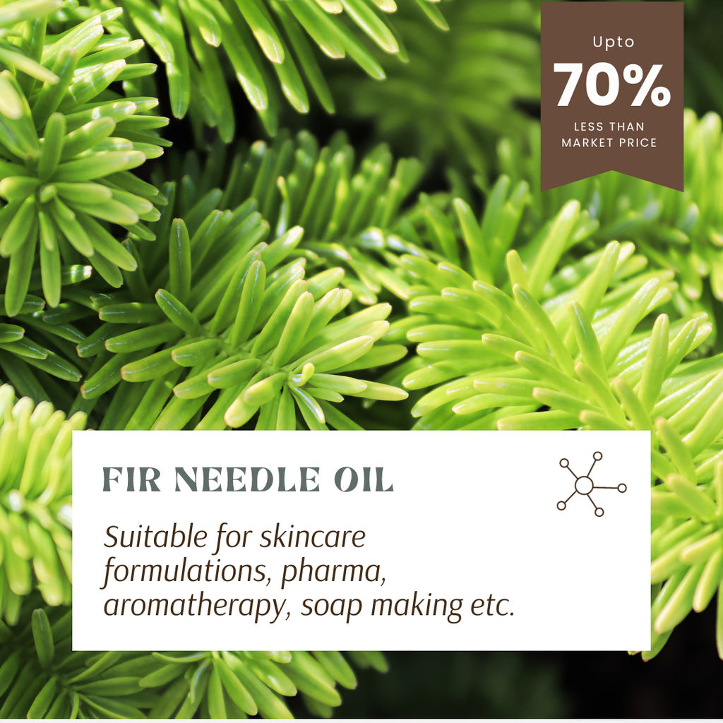 fir needle essential oil in wholesale in USA