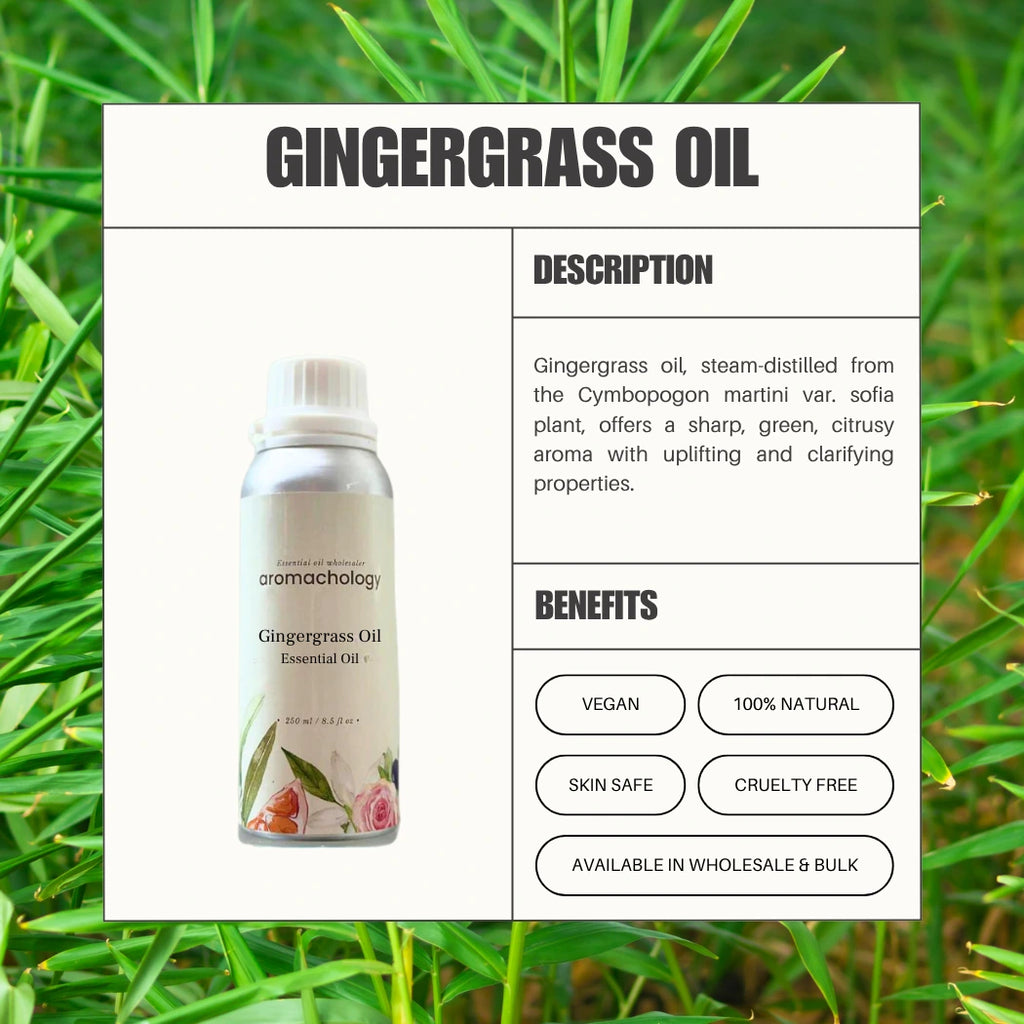 benefits of gingergrass essential oil