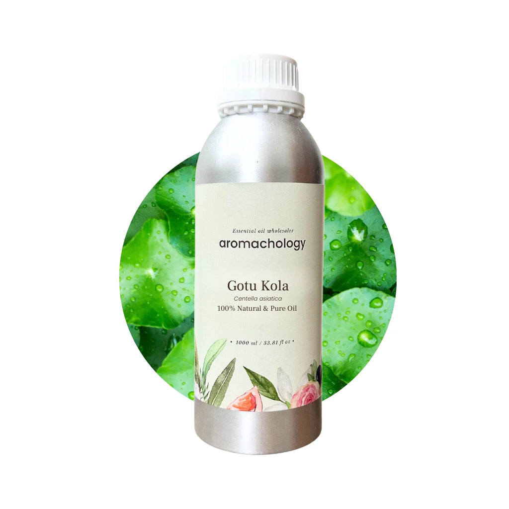 natural and pure gotu kola oil