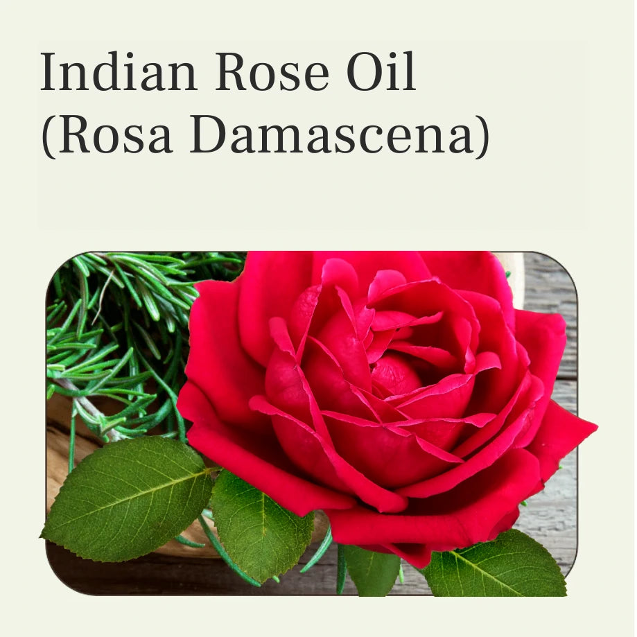 indian rose essential oil