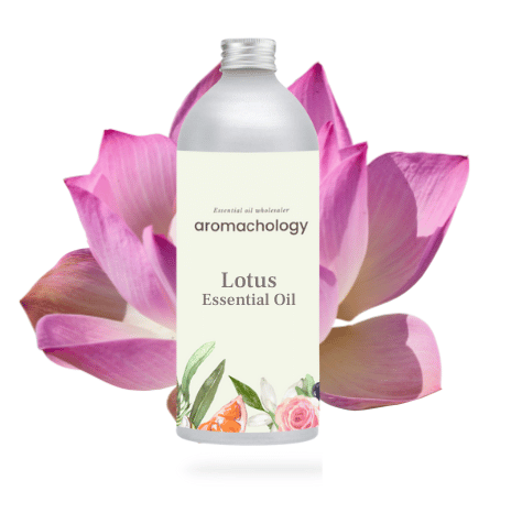 lotus essential oil wholesale and bulk USA 