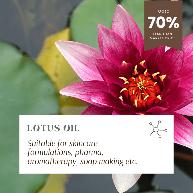 pure lotus flower oil for skin and aromatherapy