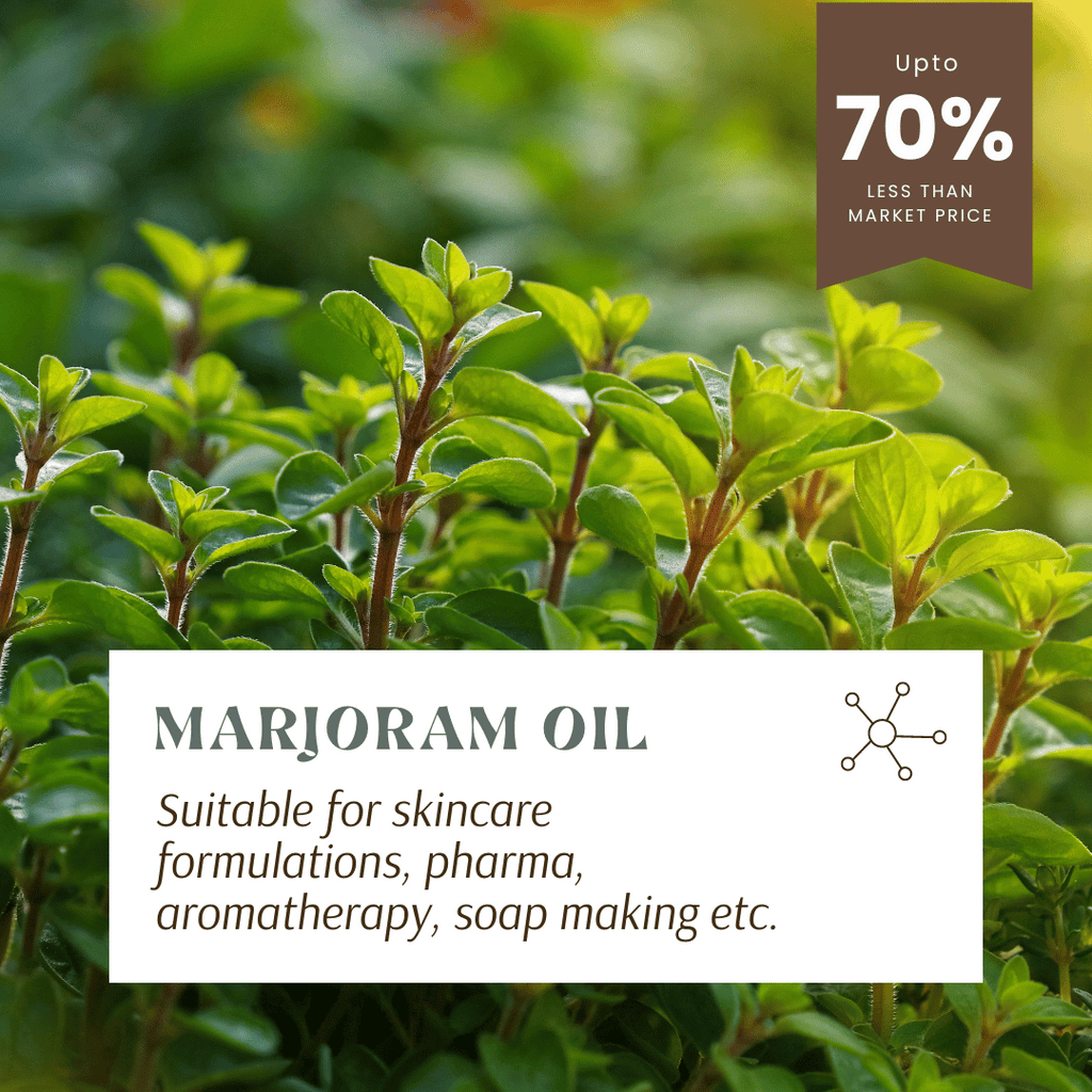 Marjoram Essential Oil (Sweet)