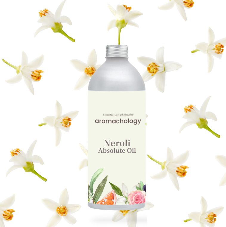 neroli absolute oil at wholesale price 