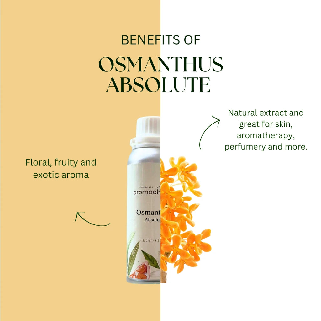 Osmanthus Absolute Benefits
