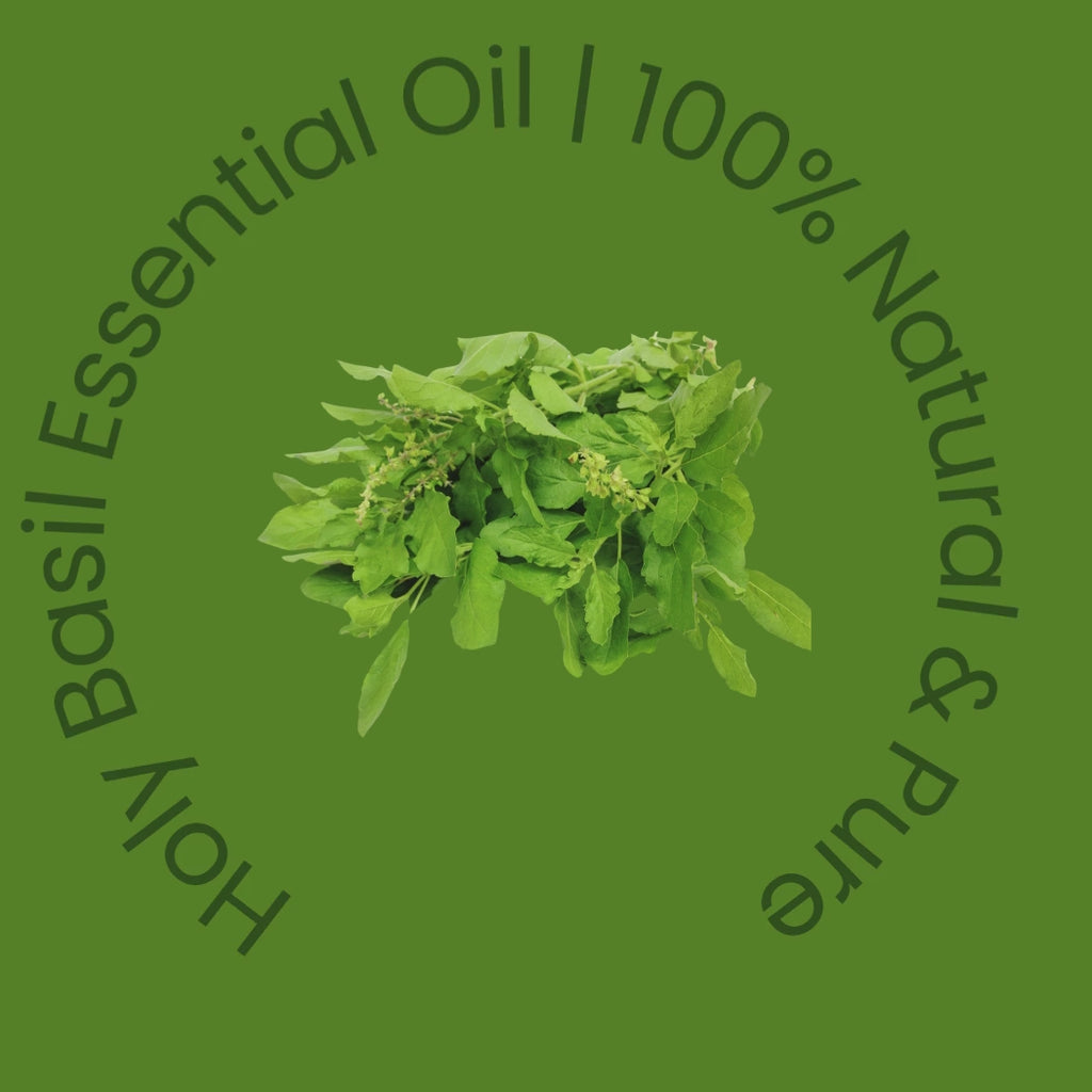 holy basil essential oil