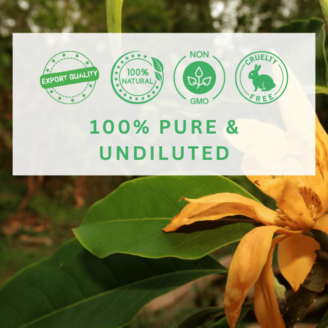 100% pure, natural and organic champaca essential oil