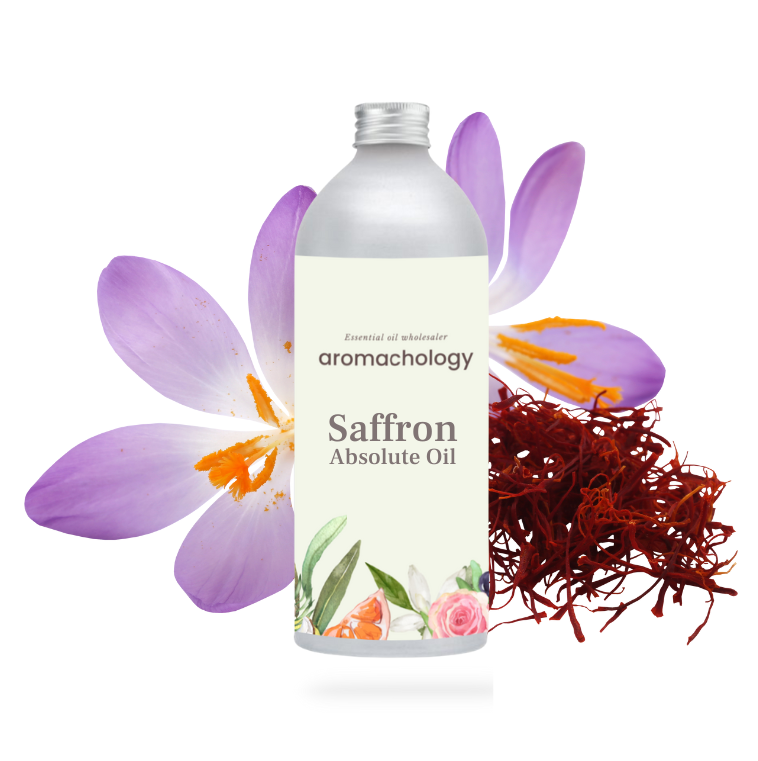 saffron absolute oil