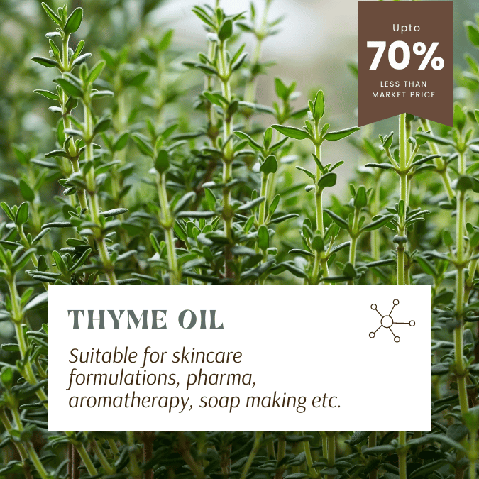 wholesale thyme essential oil suppliers