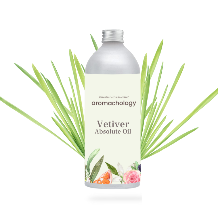 vetiver absolute oil in wholesale