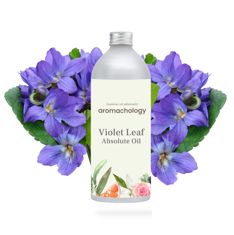 violet leaf absolute oil in USA