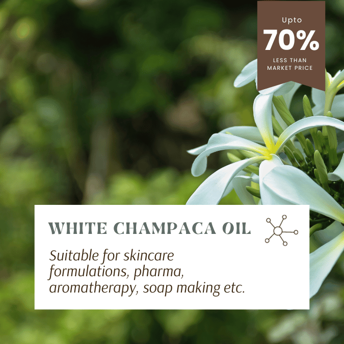 white chamapca oil for skincare, aromatherapy, soap making, pharma etc