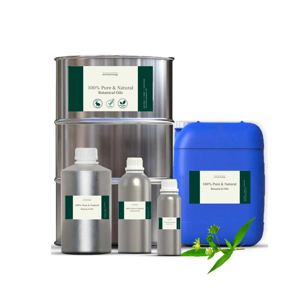 bhringraj oil wholesale and bulk supplier in USA, UK, Netherlands, South Korea and Japan