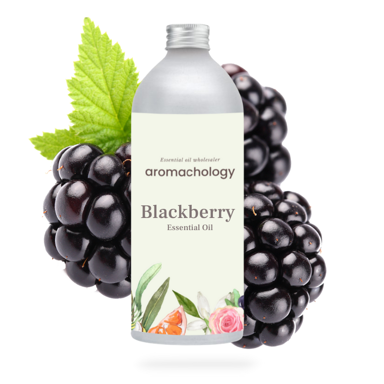 buy blackberry seed oil wholesale USA