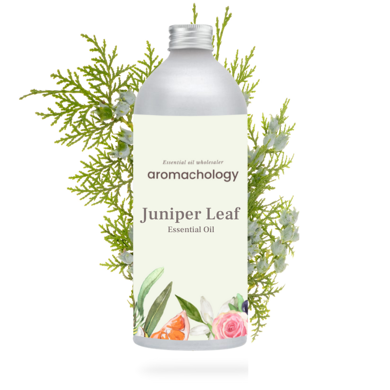Juniper Leaf Essential Oil