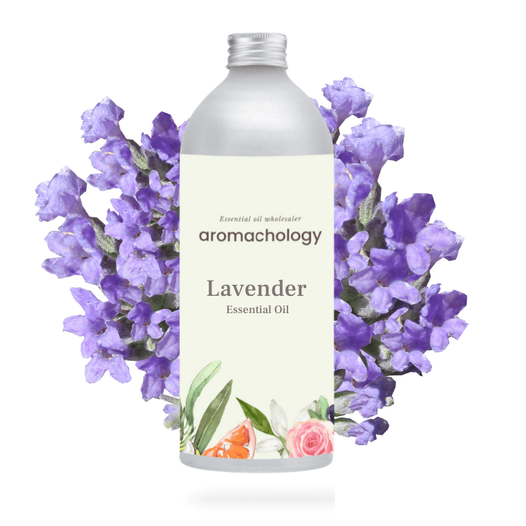 white flower oil lavender Best Lavender Essential Oil