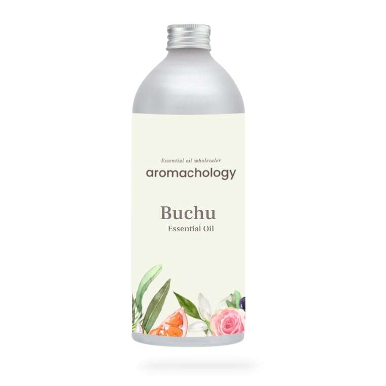 buchu oil for aromatherapy, Pharma, skincare and resale at wholesale price