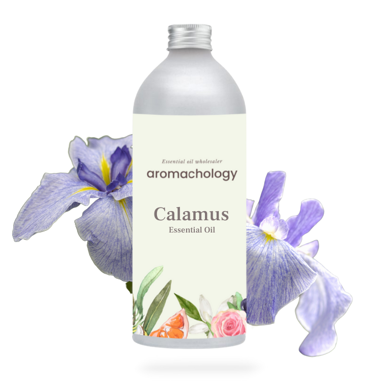 calamus oil in wholesale