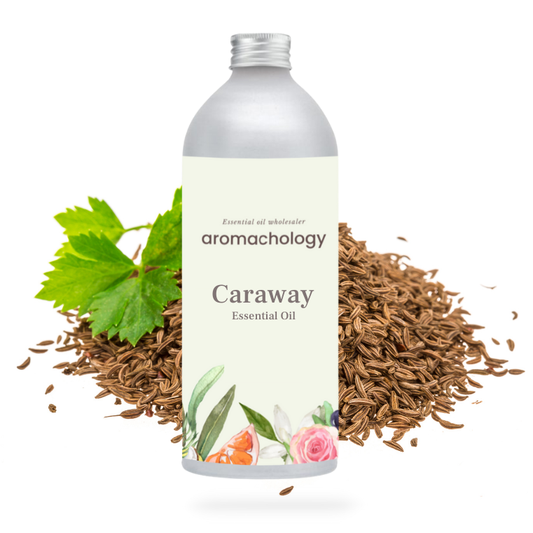 caraway essential oil in wholesale for aromatherapy, cooking, skincare, homeopathy and Pharma manufacturing