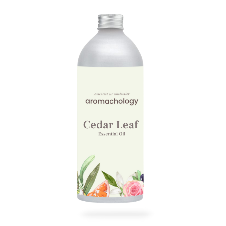 Pure Cedar Leaf Oil at wholesale price in USA, Canada, Australia