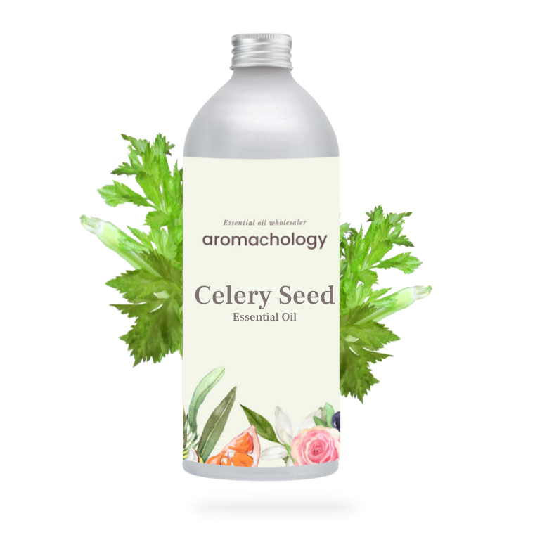 Pure and natural Celery Seed Oil in wholesale