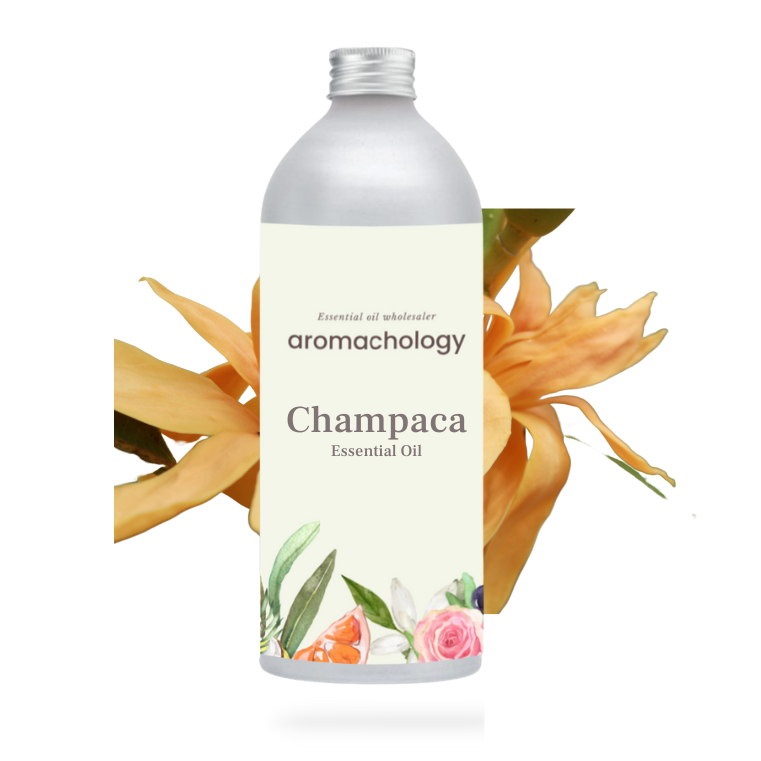 champaca essential oil