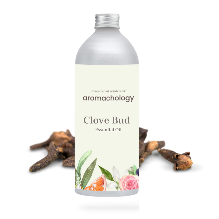 buy clove bud essential oil in bulk at wholesale prices