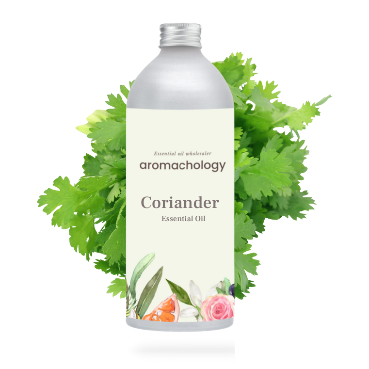 buy pure coriander essential oil in bulk at wholesale prices USA