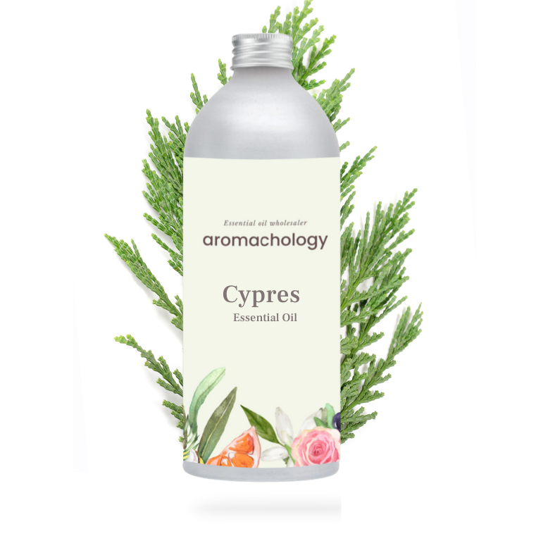 Buy bulk cypress essential oil at wholesale prices. Discover benefits, uses and blends for essential oil cypress wholesale