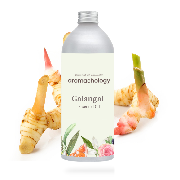 Galangal Root Essential Oil