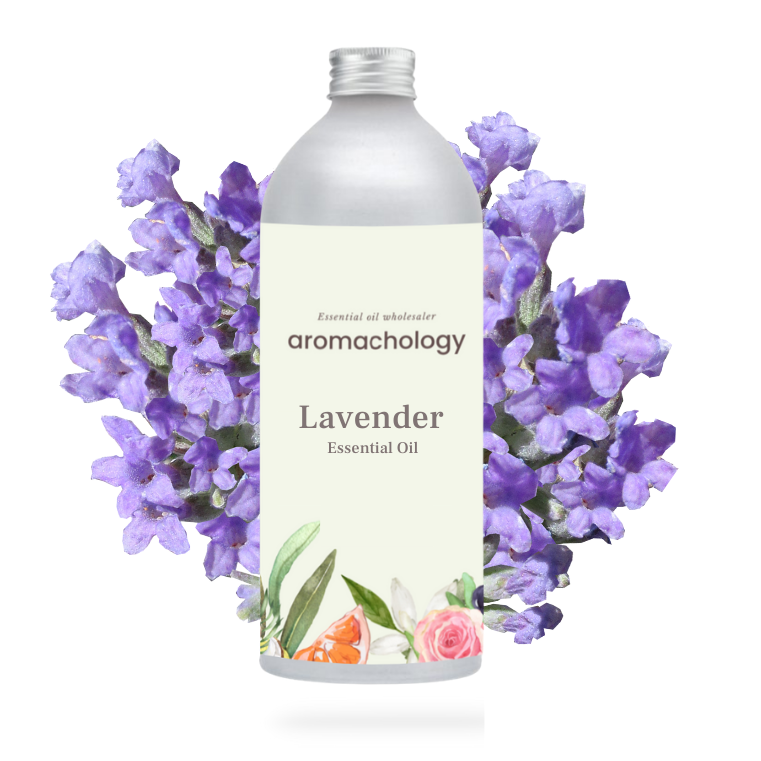 Best Lavender Essential Oil