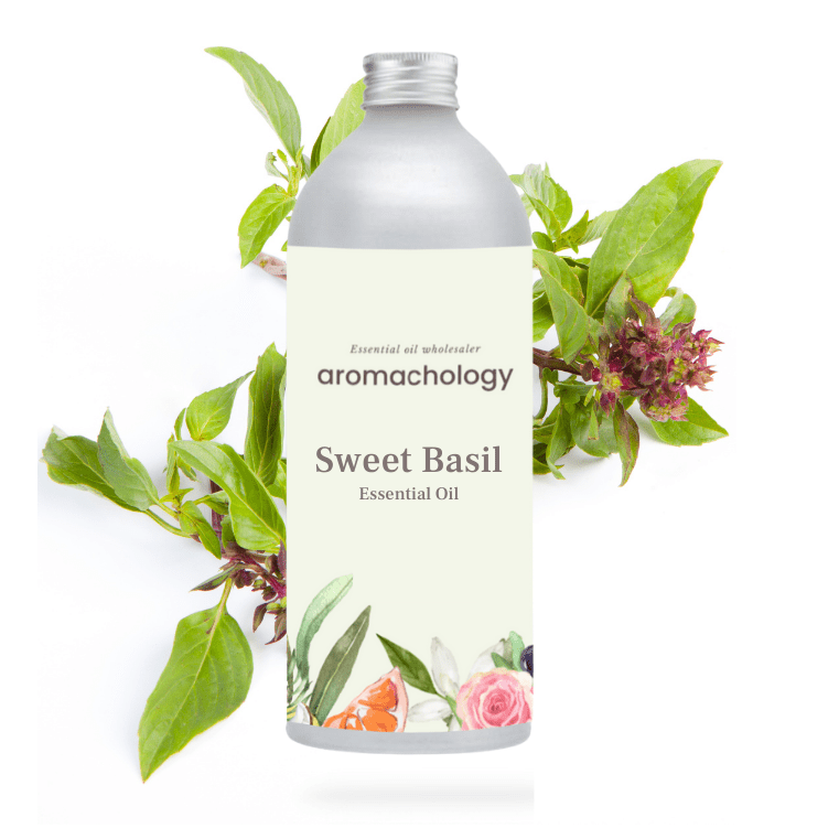 Sweet Essentials Address Sweet Basil Essential Oil in Bulk | Wholesale Supplier - Aromachology Oils